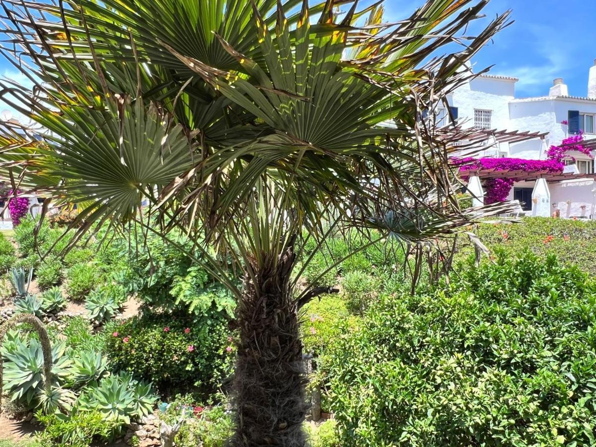 Newly Renovated 2 Bedroom Beachfront House Sitio de Calahonda Eksteriør billede