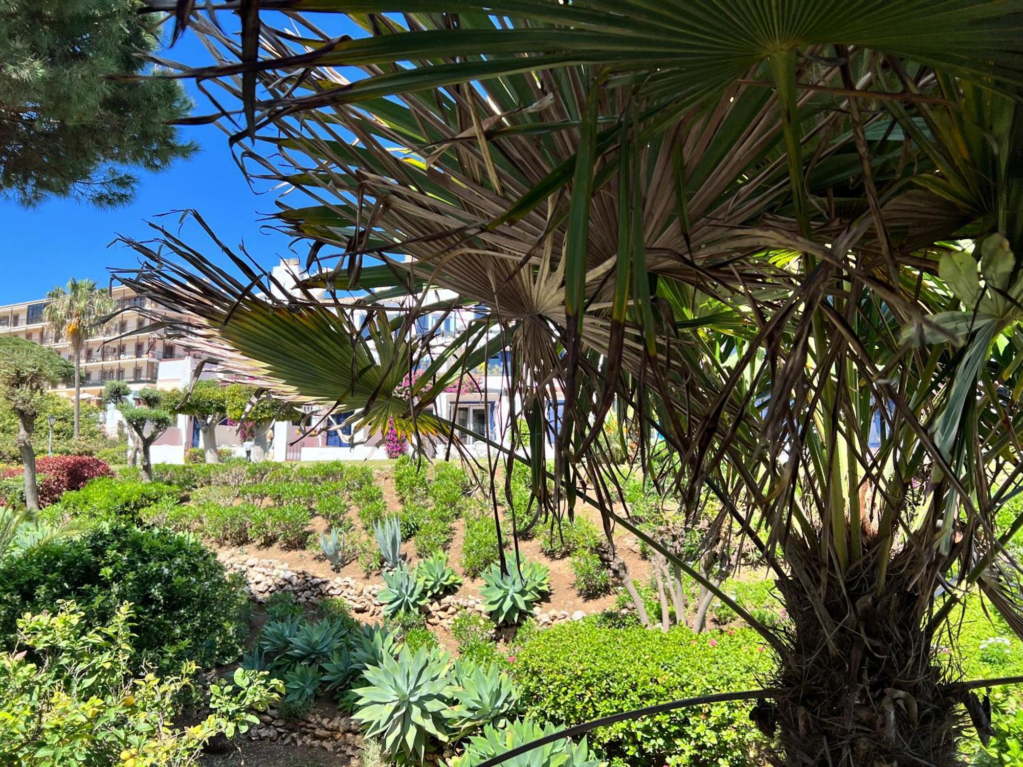 Newly Renovated 2 Bedroom Beachfront House Sitio de Calahonda Eksteriør billede